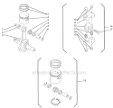 Piston Assembly Diagram and Parts List for  Shindaiwa Hedge Trimmer