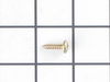 Cabinet Mount Screw – Part Number: WP489491