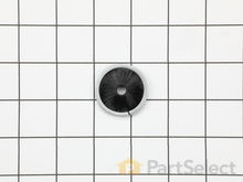 Hair Brush (sold Individually) – Part Number: 43-31-0475