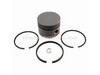 Piston Assembly (.020 Oversize) – Part Number: 298906