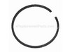 Piston Ring – Part Number: 544088701