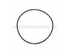 Crankcase Cover O-ring – Part Number: 753-05238